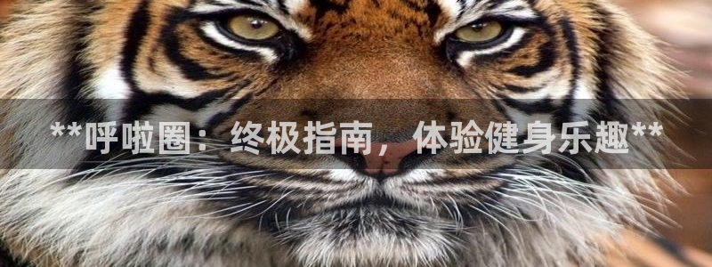 極悅平臺的注冊流程及注意事項：**呼啦圈：終極指南，