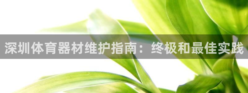 極悅平臺注冊：深圳體育器材維護指南：終極和最佳實踐
