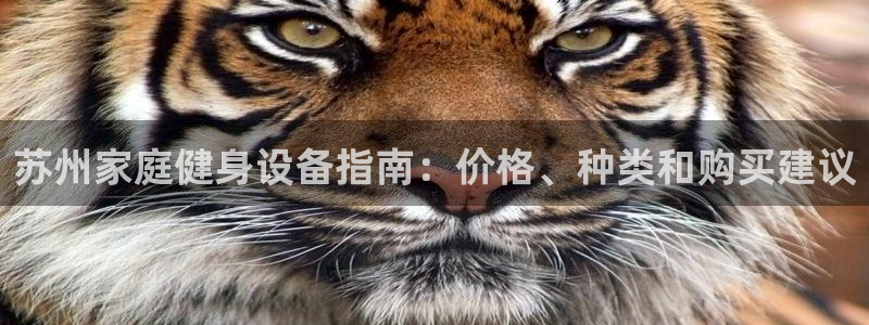極悅平臺注冊資金多少：蘇州家庭健身設備指南：價格、種