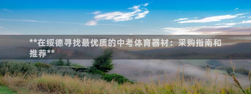 極悅平臺app二維碼怎么弄到桌面：**在綏德尋找最優(yōu)