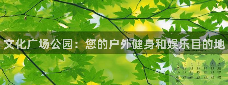 極悅平臺用戶反饋和反饋一樣嗎：文化廣場公園：您的戶外