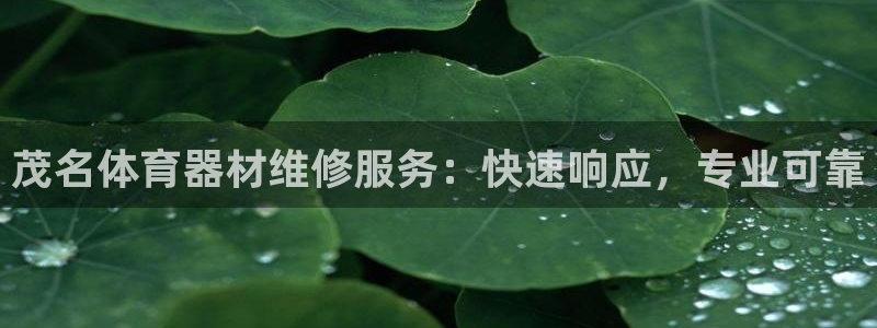 極悅娛樂公司最新招聘信息：茂名體育器材維修服務：快速