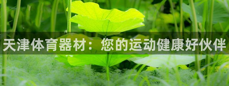 極悅娛樂的背景和歷史背景：天津體育器材：您的運動健康