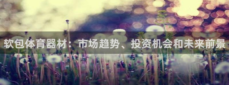 極悅娛樂官網下載app：軟包體育器材：市場趨勢、投資