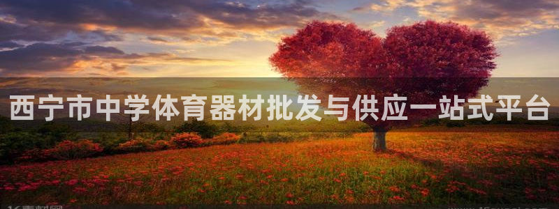 極悅娛樂官網入口下載：西寧市中學體育器材批發與供應一