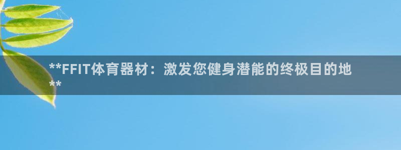 極悅平臺(tái)代理怎么賺錢的：**FFIT體育器材：激發(fā)您