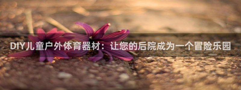 極悅平臺(tái)是正規(guī)平臺(tái)嗎是真的嗎：DIY兒童戶外體育器材