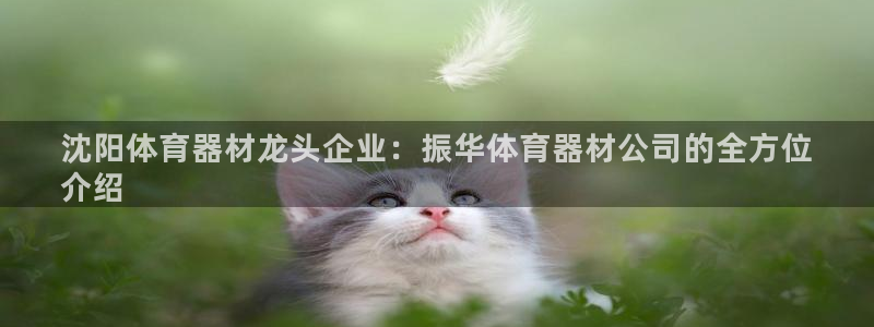 極悅平臺注冊用戶名驗證失敗