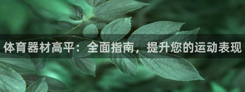 極悅娛樂創始人背景故事：體育器材高平：全面指南，提升