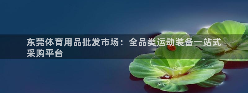極悅娛樂的最新版本更新內容在哪：東莞體育用品批發市場