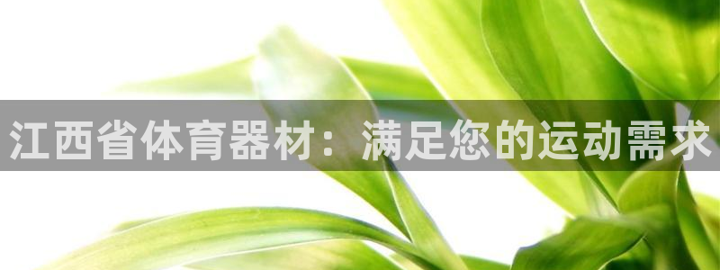 極悅娛樂代理多少錢一個月：江西省體育器材：滿足您的運