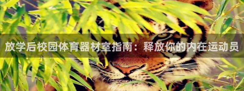 極悅平臺是正規平臺嗎安全嗎可靠嗎：放學后校園體育器材室指南：