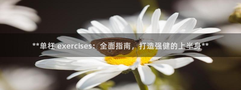 極悅平臺注冊官網下載：**單杠 exercises：全面指南