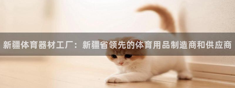 極悅平臺是什么平臺的：新疆體育器材工廠：新疆省領先的體育用品