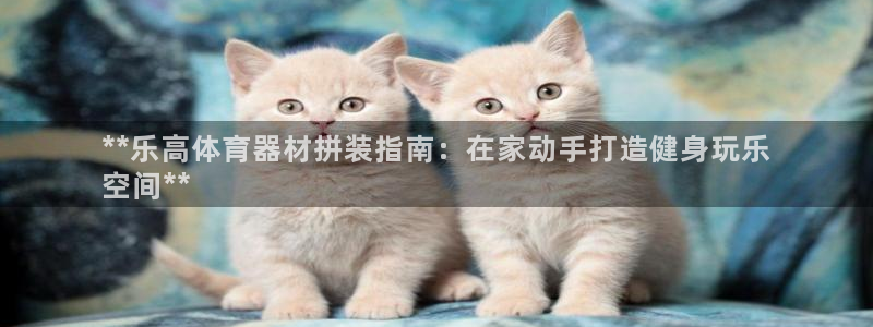 極悅平臺注冊申請流程詳解視頻