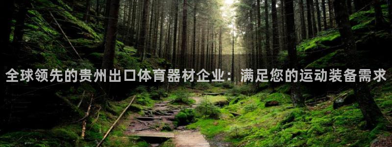 極悅平臺注冊用戶名生成器是什么：全球領先的貴州出口體育器材企