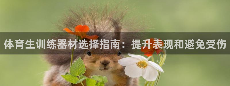 極悅娛樂的內部員工福利：體育生訓練器材選擇指南：提升表現和避