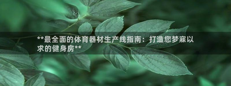 極悅平臺用戶評價怎么樣：**最全面的體育器材生產線指南：打造