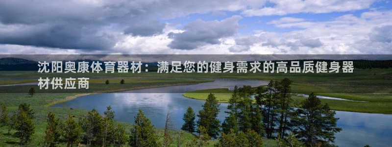 極悅娛樂代理多少錢一個月：沈陽奧康體育器材：滿足您的健身需求