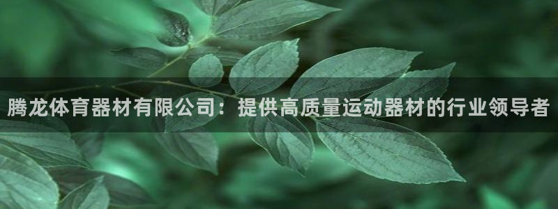 極悅娛樂的最新版本更新內容