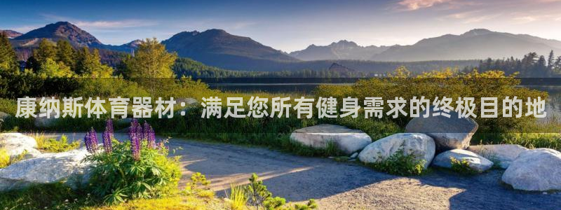 極悅平臺客服團隊