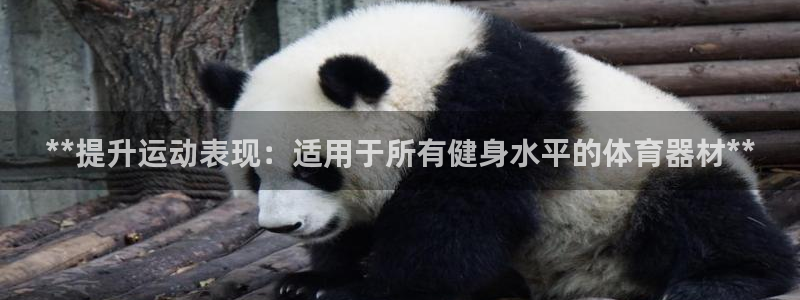 極悅平臺注冊官網(wǎng)網(wǎng)址：**提升運(yùn)動(dòng)表現(xiàn)：適用于所有健