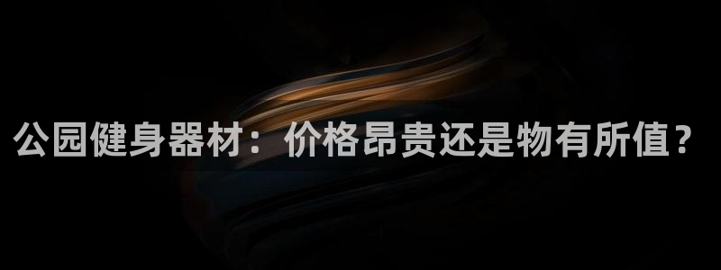 極悅平臺安全嗎：公園健身器材：價(jià)格昂貴還是物有所值？