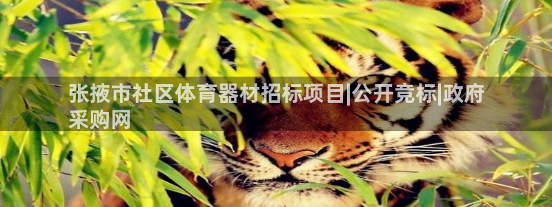 極悅平臺客服團隊