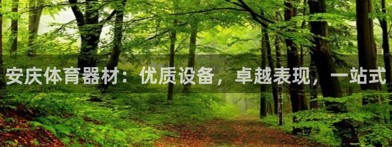 極悅平臺和藍(lán)獅平臺區(qū)別：安慶體育器材：優(yōu)質(zhì)設(shè)備，卓越