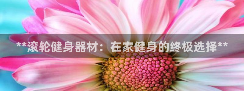 極悅娛樂官網(wǎng)下載安裝：**滾輪健身器材：在家健身的終