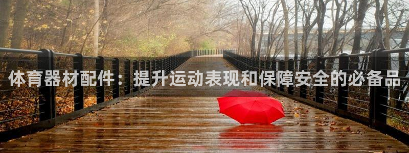 極悅平臺(tái)是正規(guī)平臺(tái)嗎安全嗎：體育器材配件：提升運(yùn)動(dòng)表