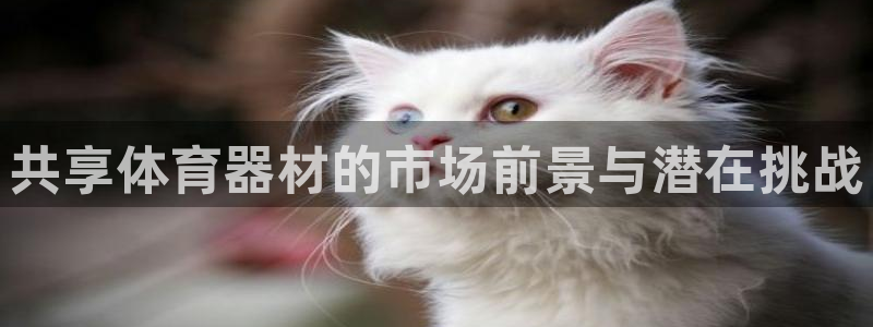 極悅平臺官方網址