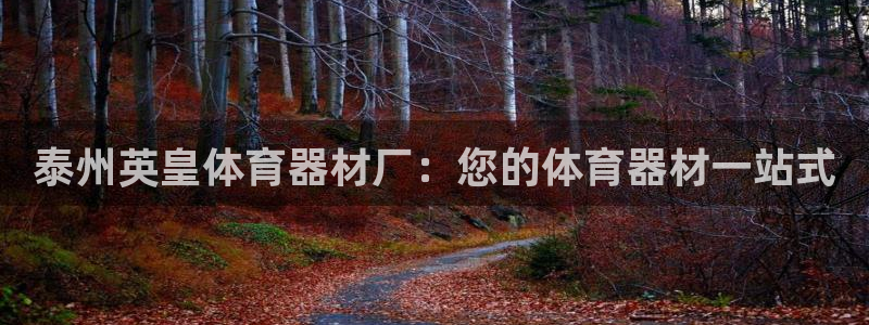 極悅娛樂官網客服聯系方式是什么