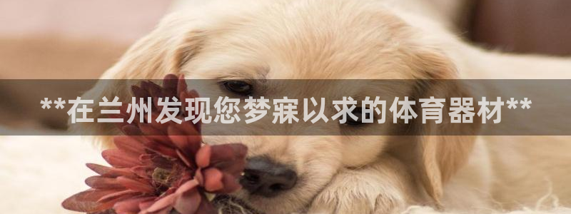 極悅娛樂公司最新招聘信息官網：**在蘭州發現您夢寐以