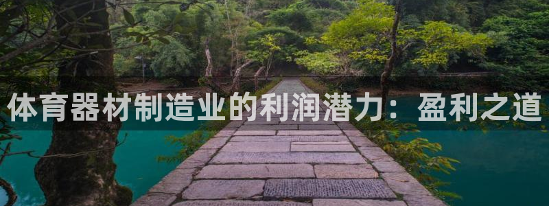 極悅平臺注冊失敗如何解決呢：體育器材制造業的利潤潛力