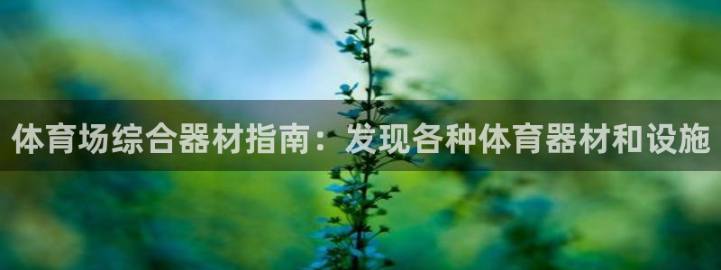 極悅平臺用戶評價