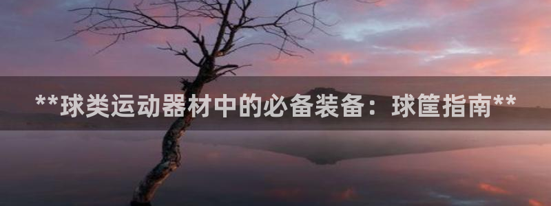 極悅娛樂是資金盤嗎：**球類運動器材中的必備裝備：球