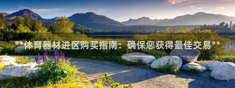極悅娛樂會被騙嗎安全嗎：**體育器材進區購買指南：確