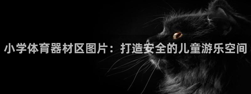 極悅平臺使用注意事項是什么：小學(xué)體育器材區(qū)圖片：打造