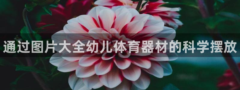 極悅娛樂官網(wǎng)app下載安裝：通過圖片大全幼兒體育器材