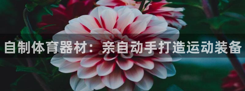 極悅平臺安全嗎：自制體育器材：親自動手打造運(yùn)動裝備