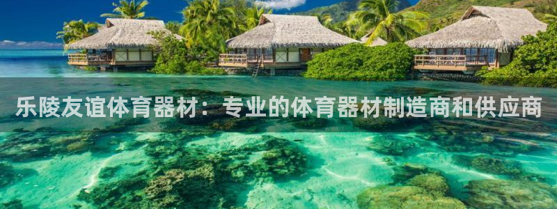 極悅娛樂的背景和歷史背景介紹：樂陵友誼體育器材：專業(yè)