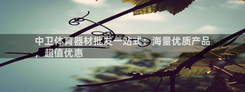 極悅官網(wǎng)注冊最新版本更新內(nèi)容在哪：中衛(wèi)體育器材批發(fā)一