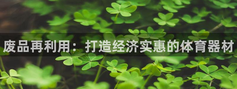 極悅娛樂是資金盤嗎：廢品再利用：打造經濟實惠的體育器