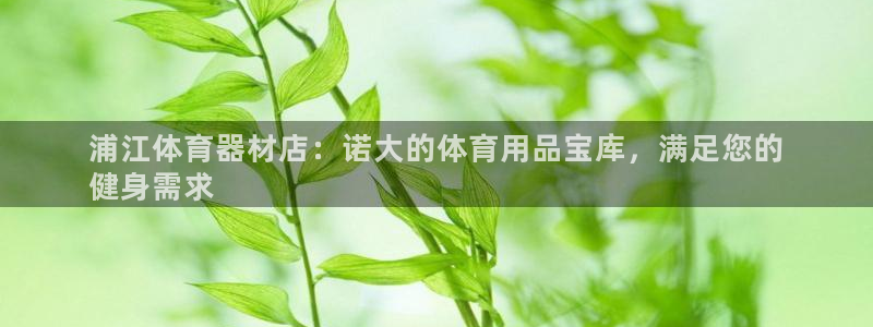 極悅娛樂公司最新招聘信息網：浦江體育器材店：諾大的體