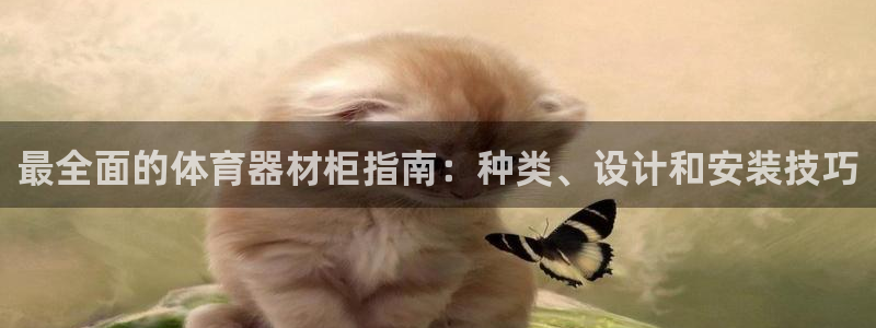 極悅平臺(tái)官方網(wǎng)站：最全面的體育器材柜指南：種類、設(shè)計(jì)