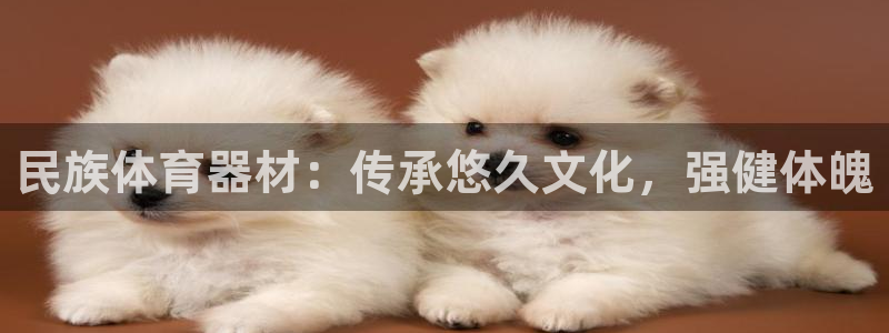 極悅娛樂(lè)游戲中心：民族體育器材：傳承悠久文化，強(qiáng)健體
