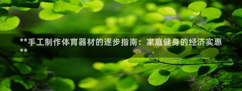 極悅平臺(tái)注冊(cè)官網(wǎng)下載：**手工制作體育器材的逐步指南