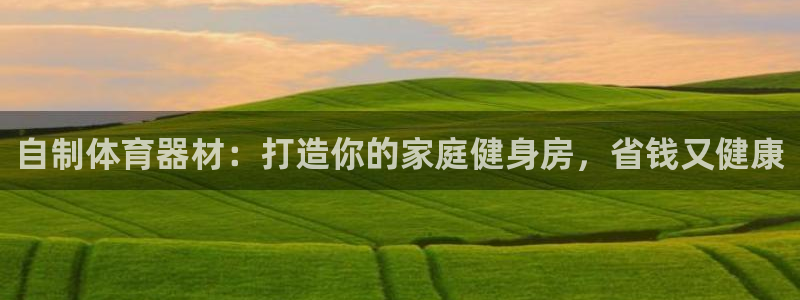 極悅平臺(tái)官方網(wǎng)站是什么軟件：自制體育器材：打造你的家
