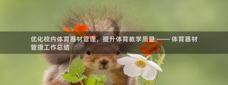 極悅平臺注冊流程詳解：優化校內體育器材管理，提升體育